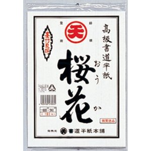 Hanshi (Paper) for calligraphy, Hanshi for practice ROUKA 100 sheets
